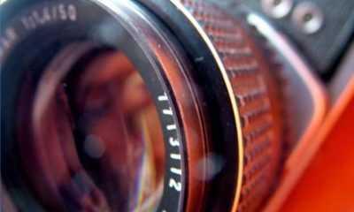 Corsi di cultura italiana studiare cultura italiana